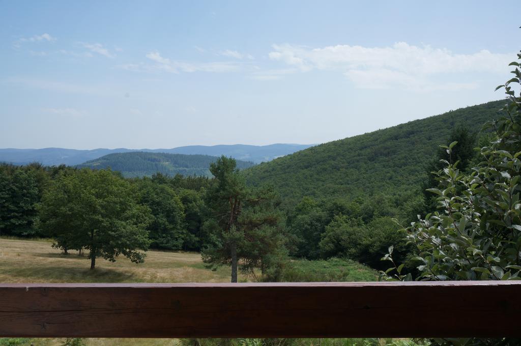 Gites Au Coeur Des Bois La Salvetat-sur-Agout Exterior foto