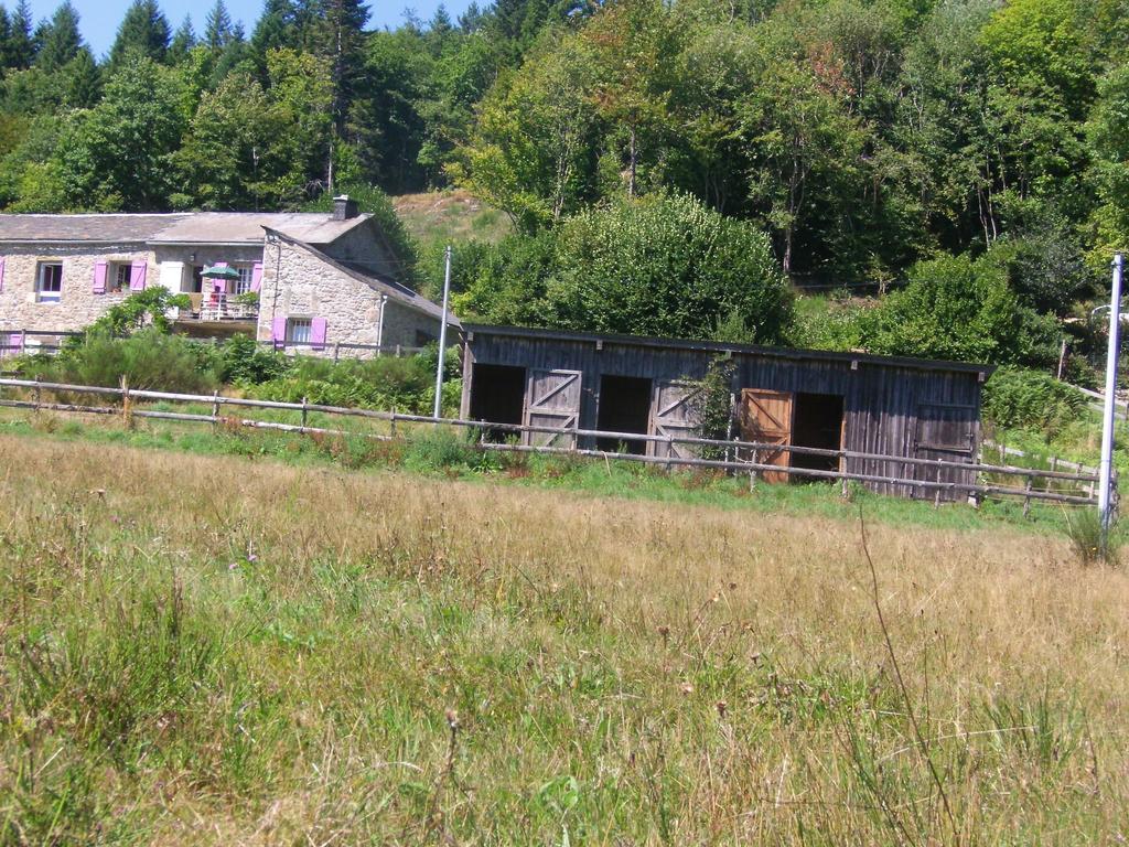 Gites Au Coeur Des Bois La Salvetat-sur-Agout Exterior foto