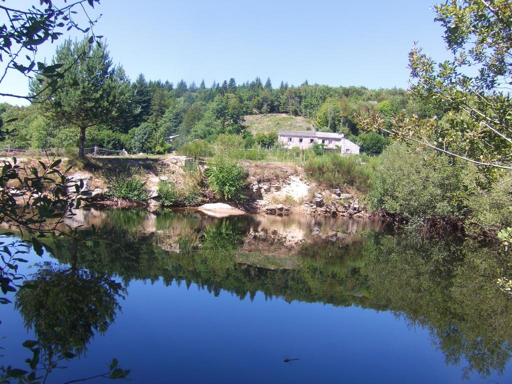 Gites Au Coeur Des Bois La Salvetat-sur-Agout Exterior foto