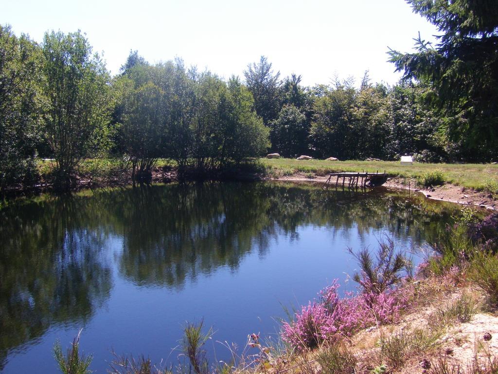 Gites Au Coeur Des Bois La Salvetat-sur-Agout Exterior foto