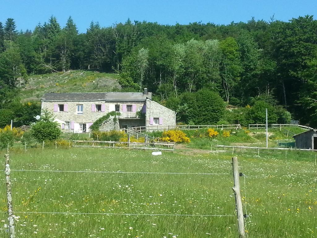 Gites Au Coeur Des Bois La Salvetat-sur-Agout Exterior foto