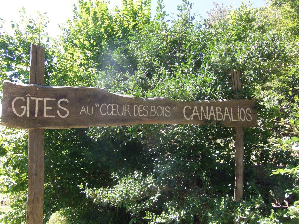 Gites Au Coeur Des Bois La Salvetat-sur-Agout Exterior foto