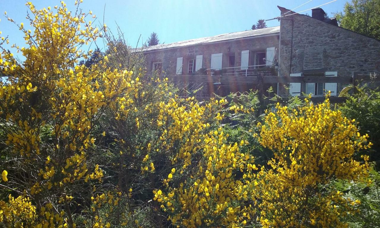 Gites Au Coeur Des Bois La Salvetat-sur-Agout Exterior foto