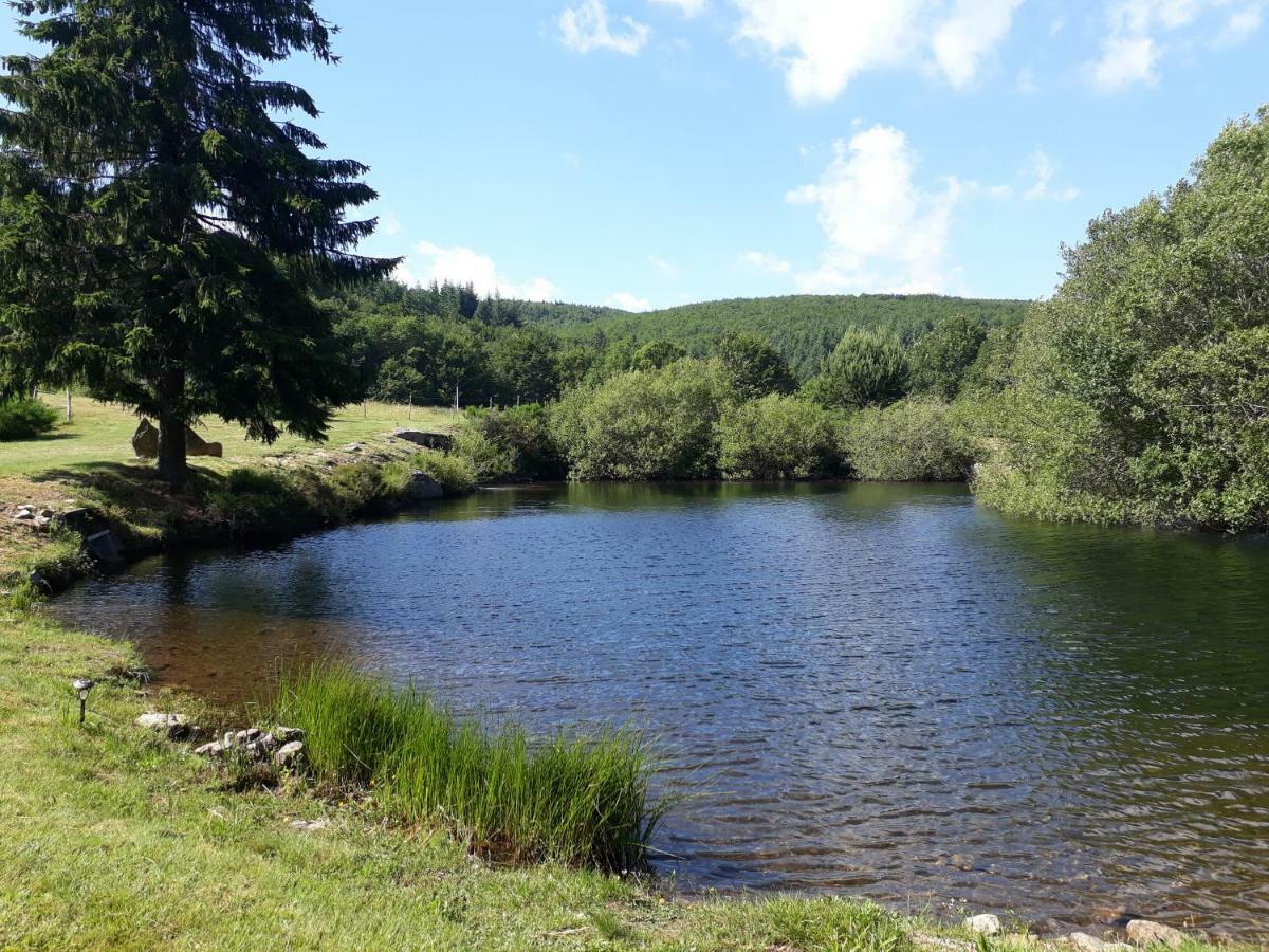 Gites Au Coeur Des Bois La Salvetat-sur-Agout Exterior foto