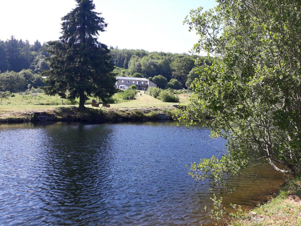 Gites Au Coeur Des Bois La Salvetat-sur-Agout Exterior foto