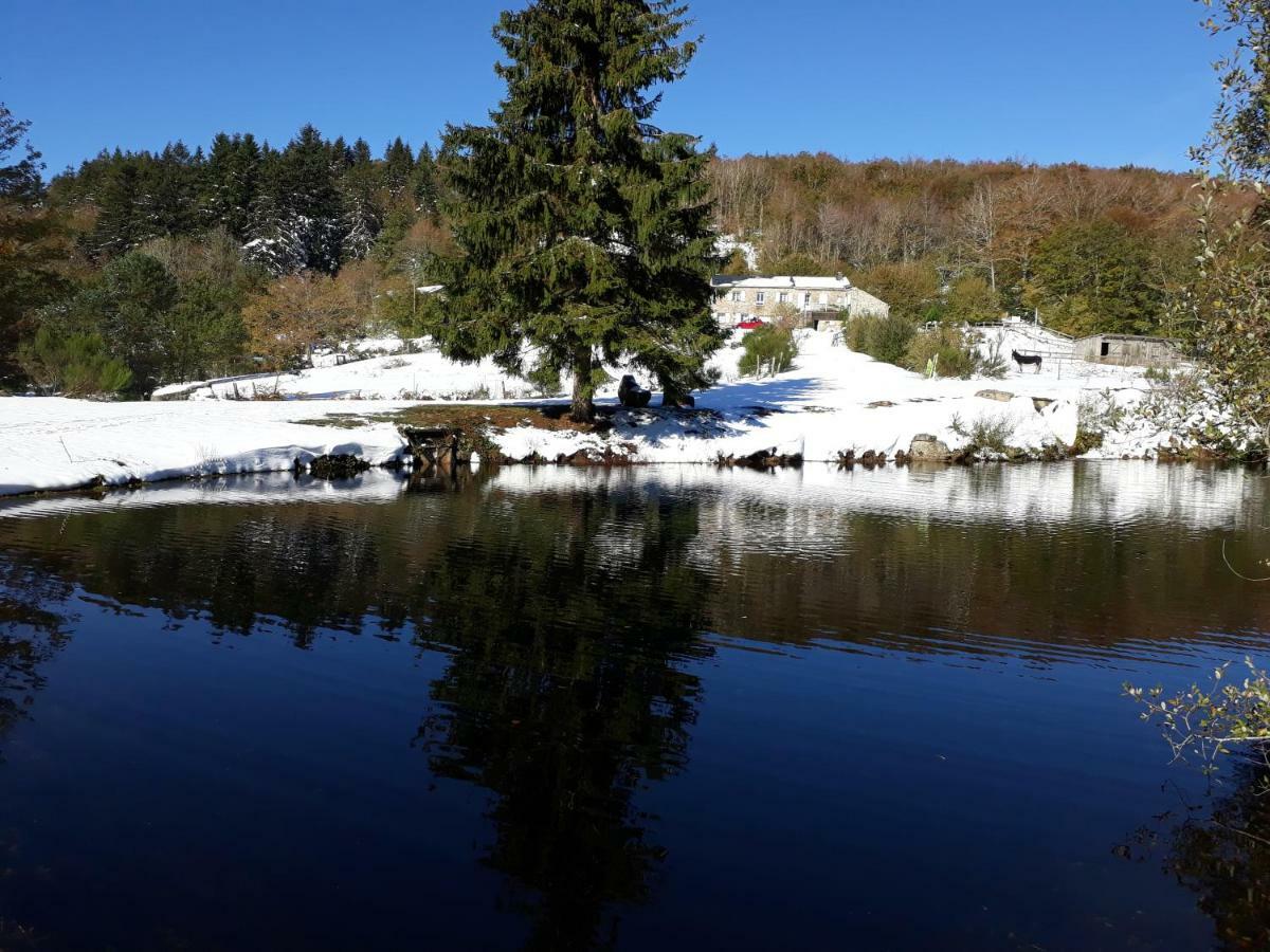 Gites Au Coeur Des Bois La Salvetat-sur-Agout Exterior foto