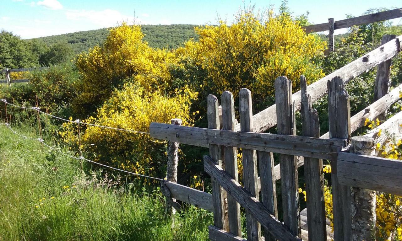 Gites Au Coeur Des Bois La Salvetat-sur-Agout Exterior foto