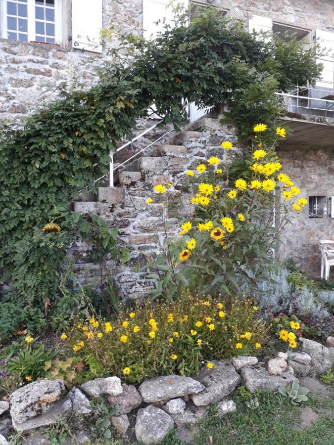 Gites Au Coeur Des Bois La Salvetat-sur-Agout Exterior foto