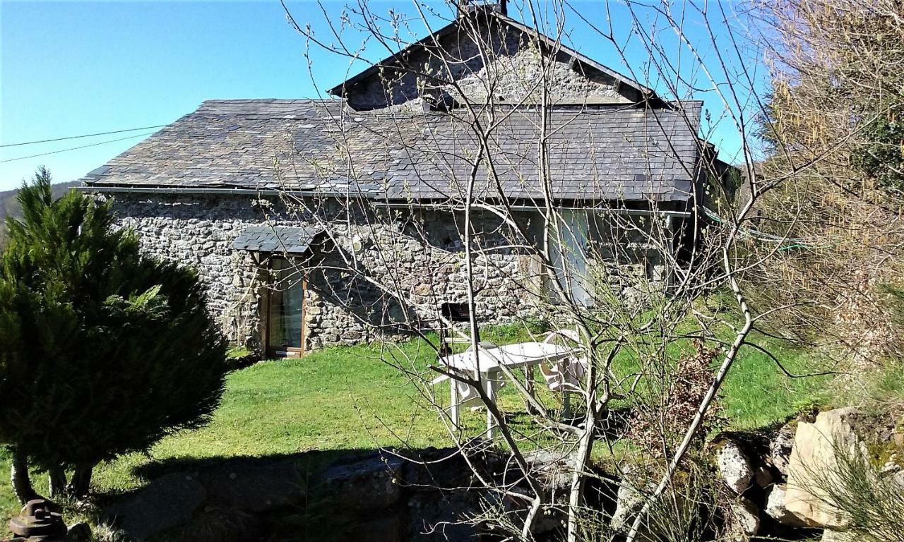 Gites Au Coeur Des Bois La Salvetat-sur-Agout Exterior foto