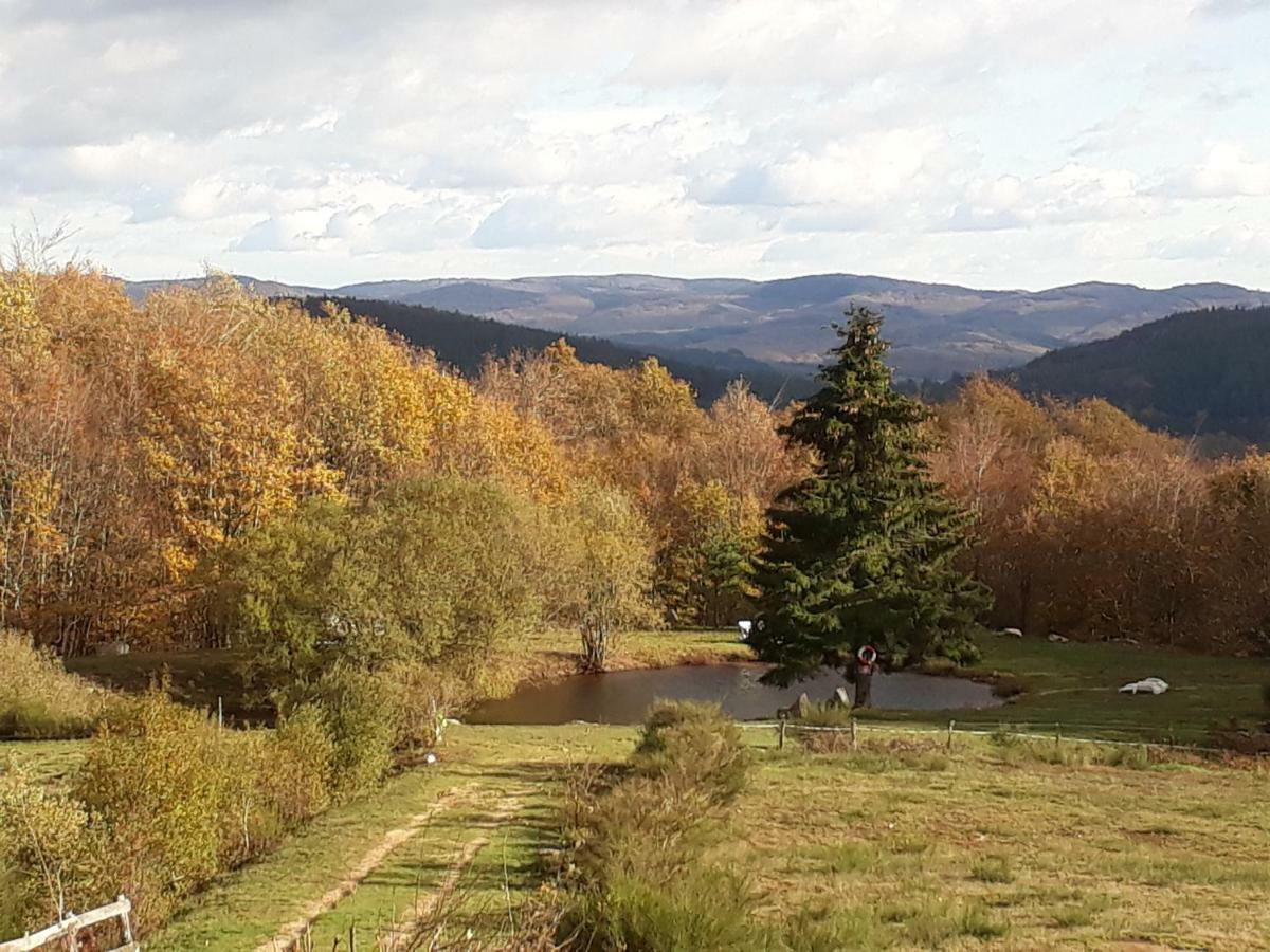 Gites Au Coeur Des Bois La Salvetat-sur-Agout Exterior foto