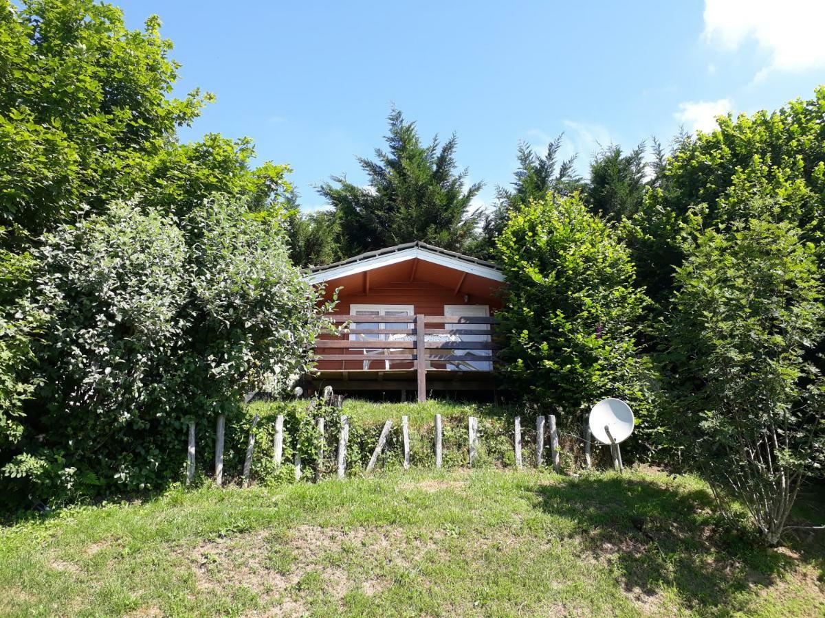Gites Au Coeur Des Bois La Salvetat-sur-Agout Exterior foto